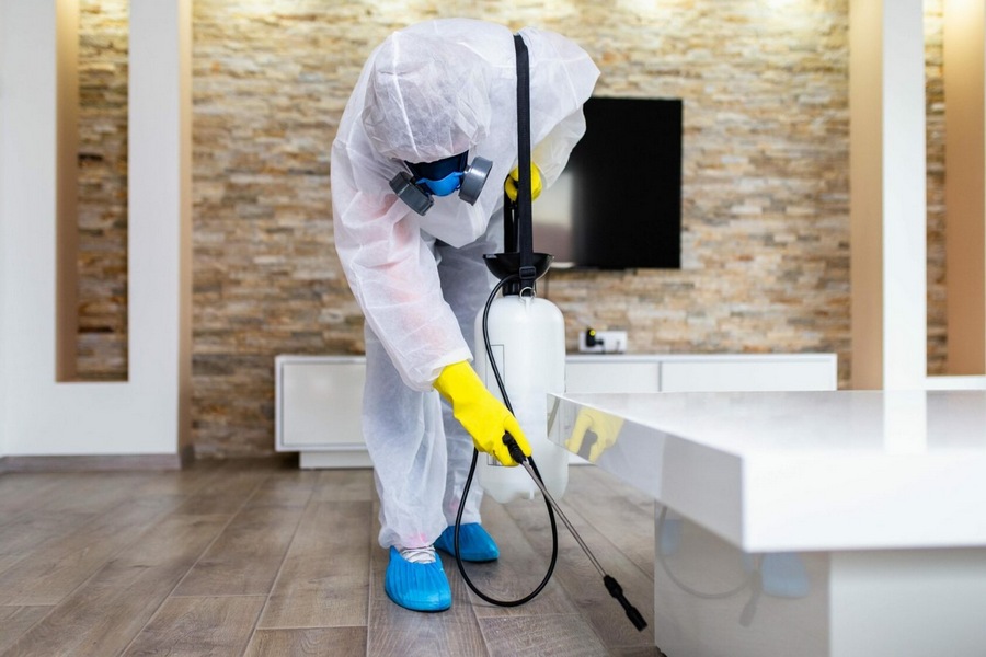 Things to Know Before Hiring a Pest Control Company